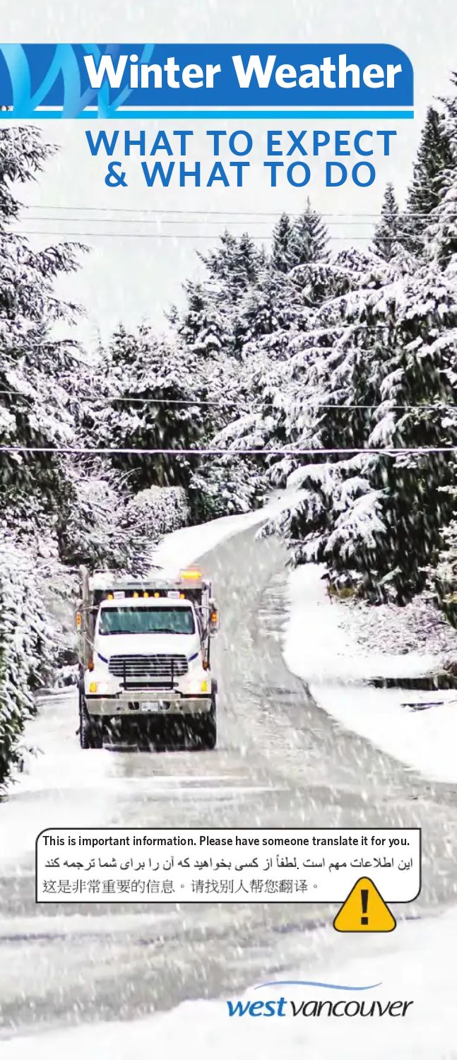 birthday party trifold pamhplet